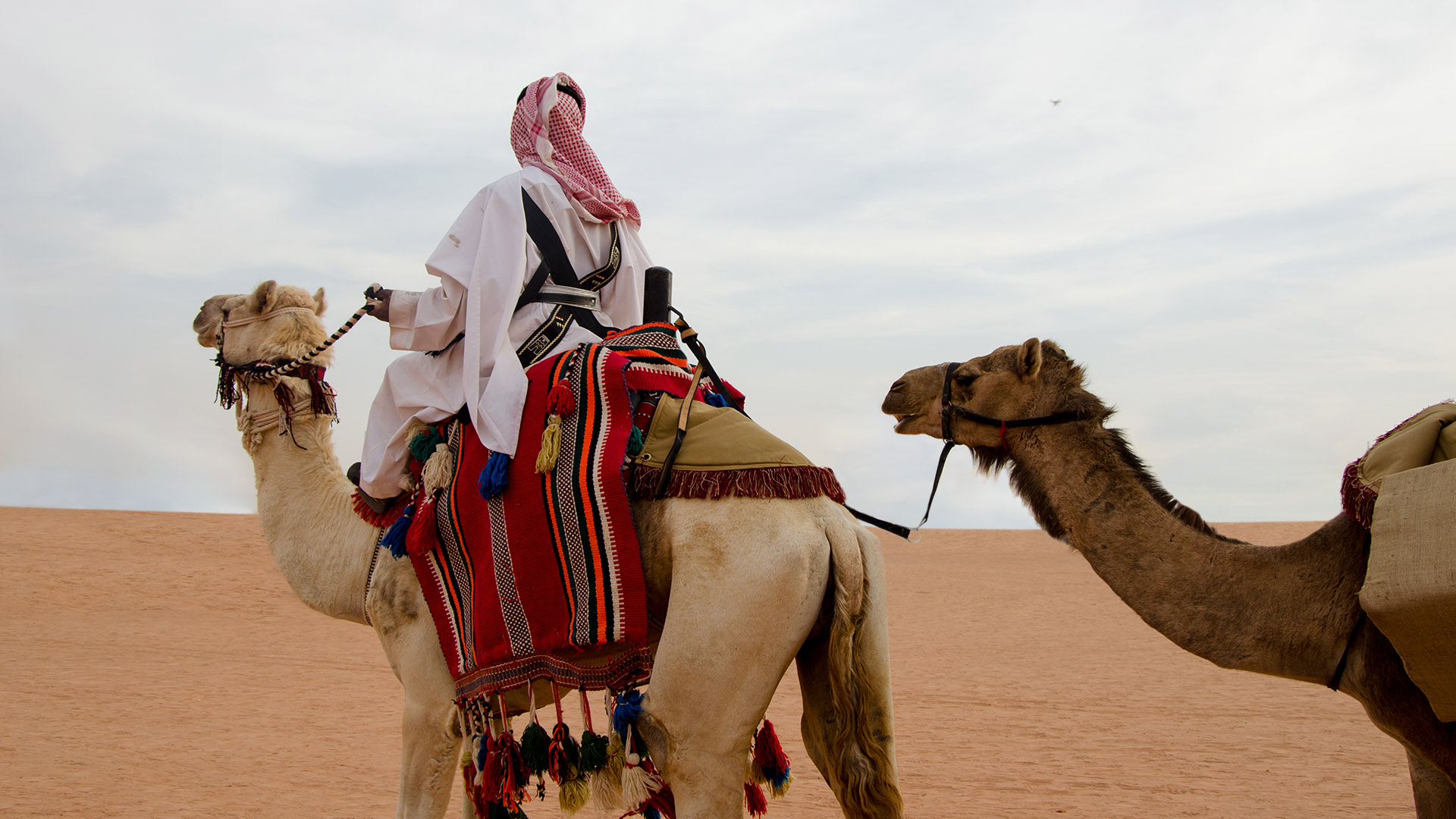 沙漠露营 卡什塔 沙特冬季的冒险之旅 Visit Saudi官方网站