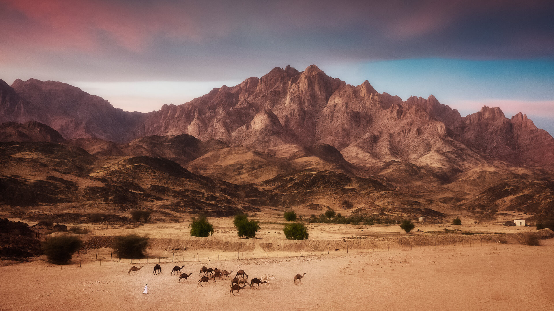 Tourism in Yanbu Radwa Mount, Red Sea Scuba Diving and More Visit