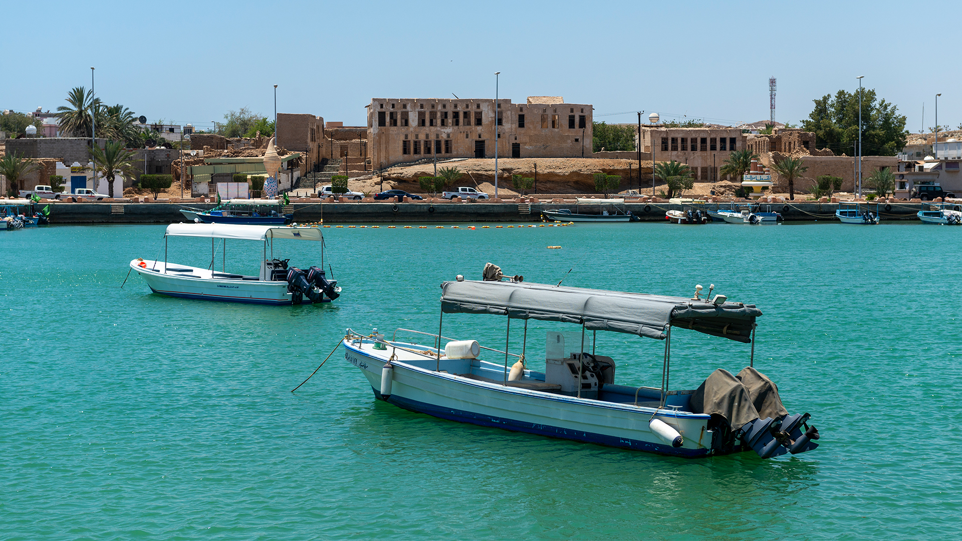 منطقة الوجه